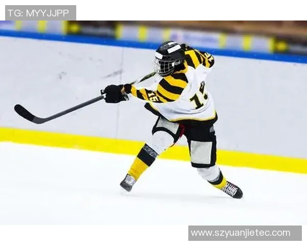 全球冰球明星收入排行榜揭晓谁是财富之巅的冰上巨星