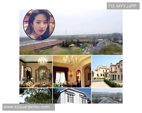 国内体育明星豪宅价值排行榜揭晓奢华生活引发关注与讨论