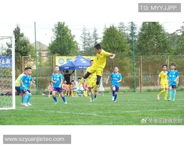 罗字闪耀绿茵场足球明星们的传奇与荣耀之路