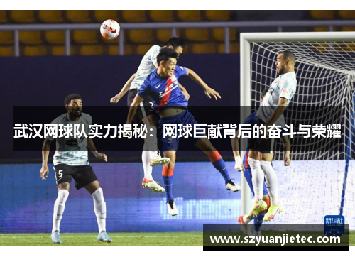 武汉网球队实力揭秘：网球巨献背后的奋斗与荣耀